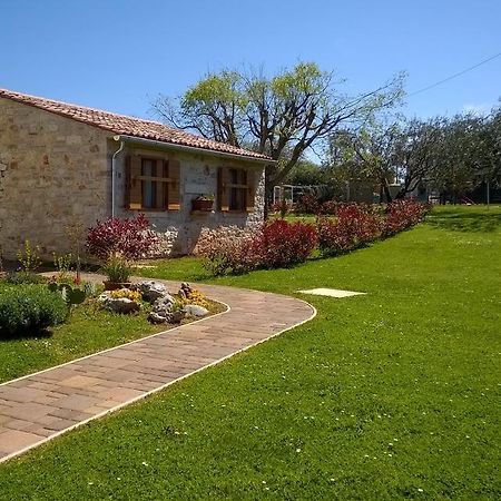 Holiday House Sweet Home Umag Eksteriør bilde