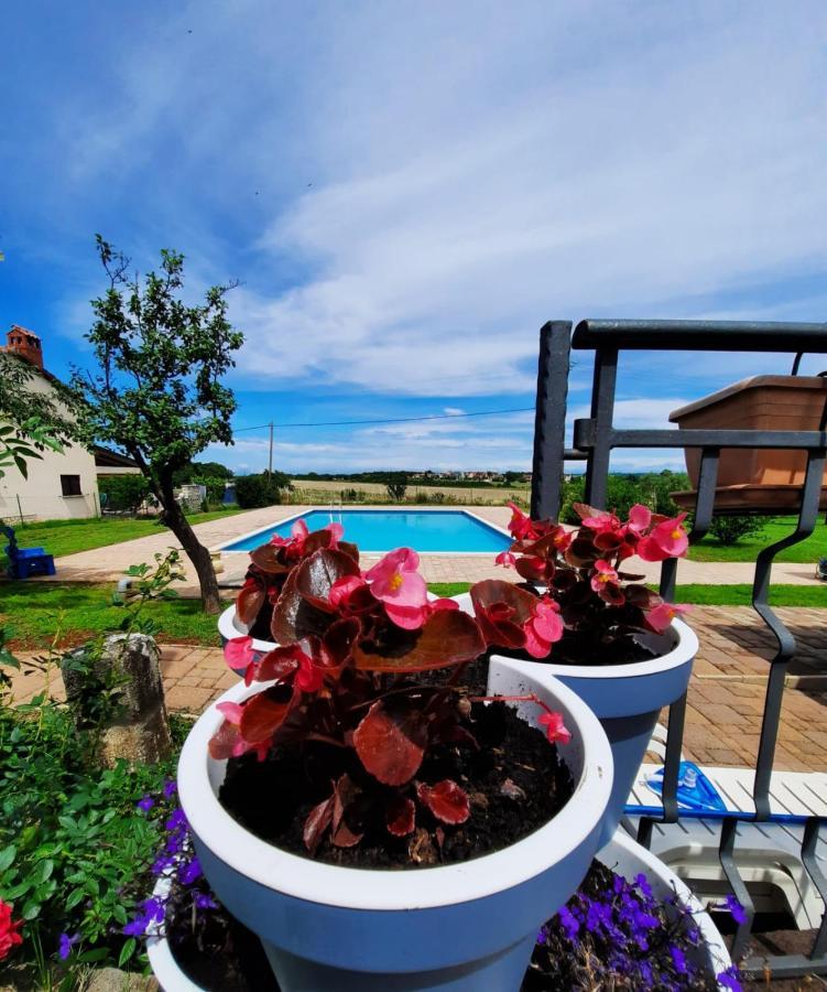 Holiday House Sweet Home Umag Eksteriør bilde